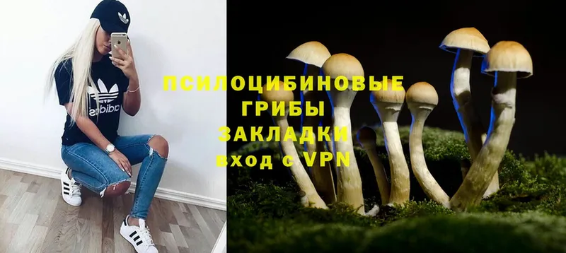 Псилоцибиновые грибы MAGIC MUSHROOMS  Видное 